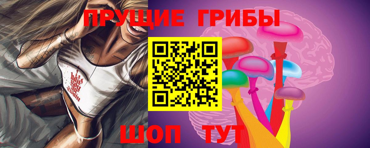 Галлюциногенные грибы MAGIC MUSHROOMS  Псилоцибиновые грибы мицелий  Ивантеевка  Вход с VPN 